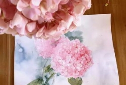 花花视频,带你领略短视频的魅力与风采