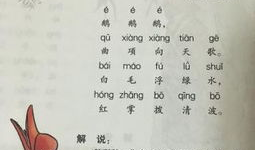 古诗视频,古诗视频中的古典韵味与时代共鸣