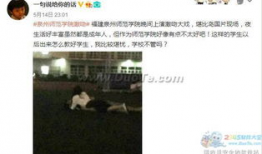 黄片长视频,剧情解析与背后故事