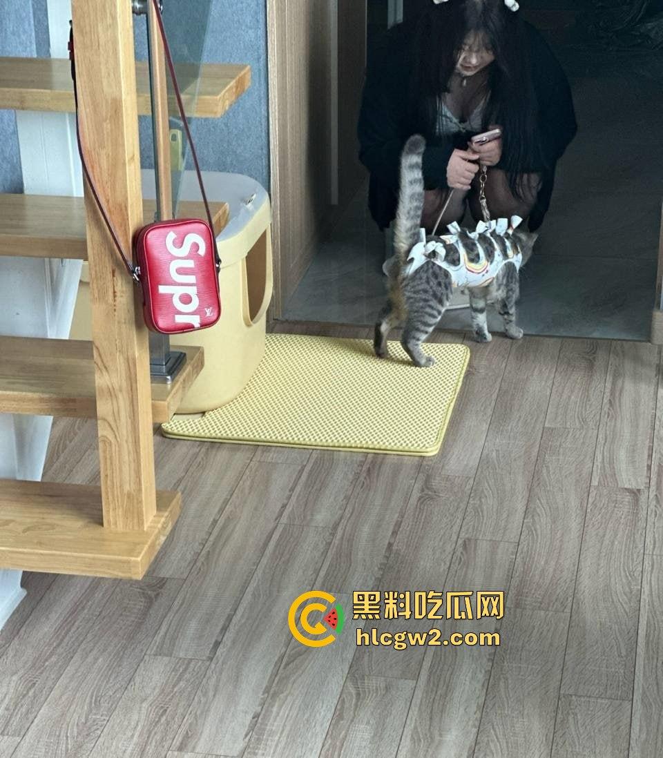 约啪大神高价付费福利！强推学生妹COS【徐婷】干得她浪叫连天，十个COS九个骚，真特么没毛病！-6