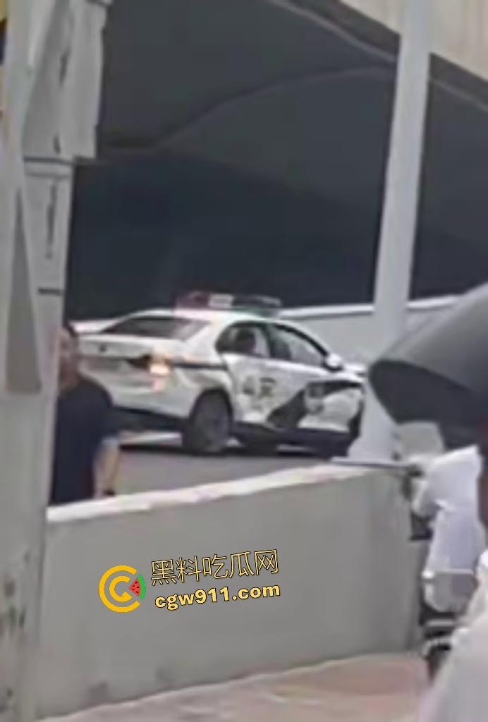 石家庄现实版侠盗飞车！欲跳桥自杀男子反转抢警车狂飙撞飞路人，警方围堵抓捕直接撞烂警车！-8